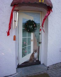 002 - painted door